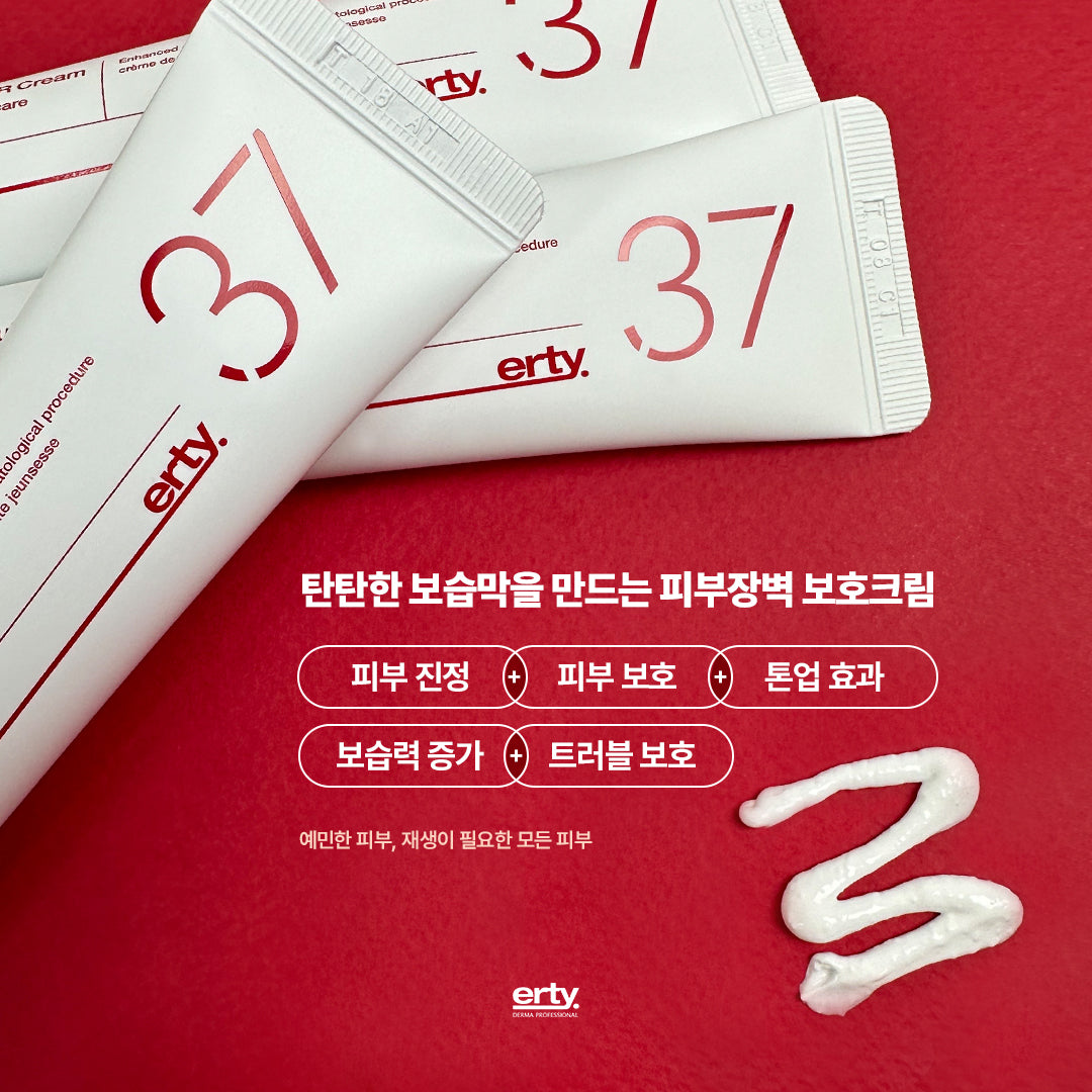 ( 공구 ) 에르띠